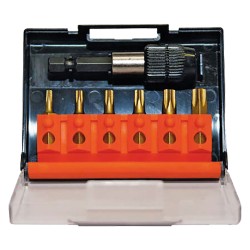 portainserto-con-inserti-torx-7-pz