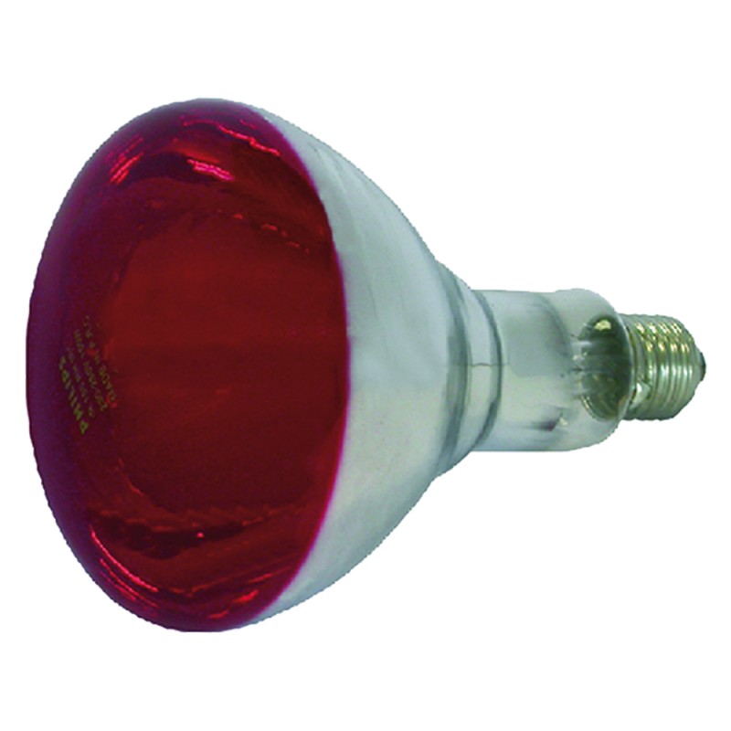 lampada-infrarossi-per-riflettore-150-w-e27
