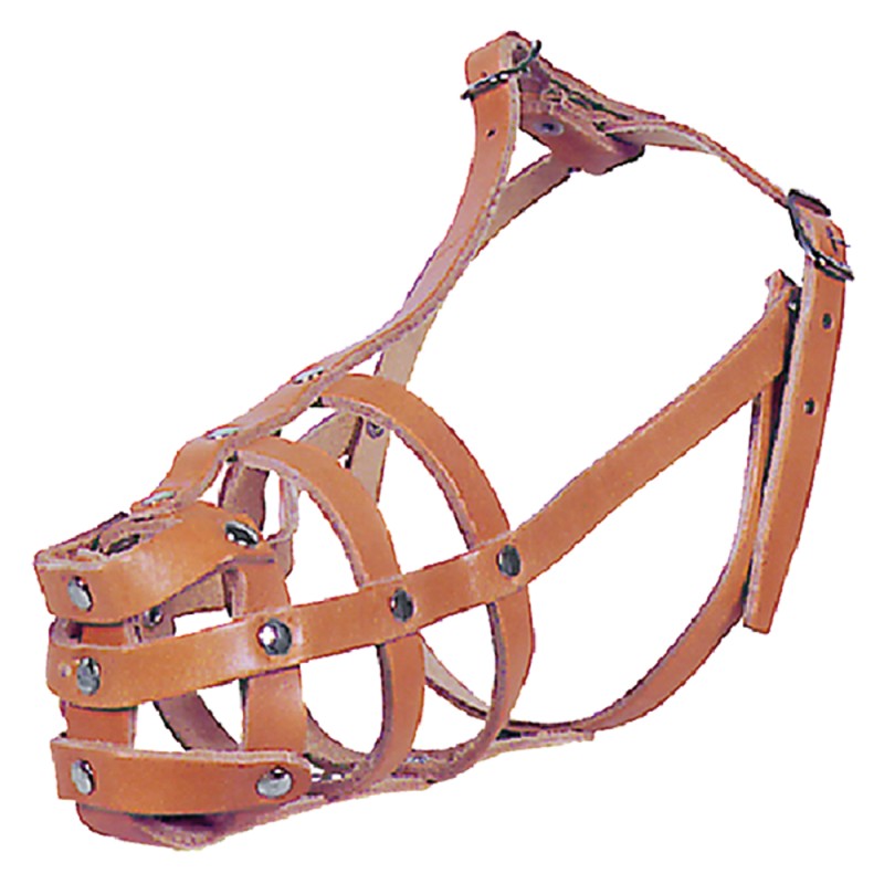 museruola-per-cane-n-9