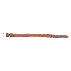 collare-per-cane-larg-mm-20-lung-cm-50
