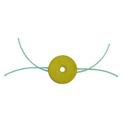 testina-tarantola-in-abs