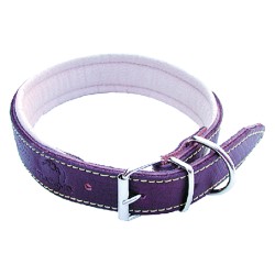 collare-per-cane-larg-mm-20-lungcm-45