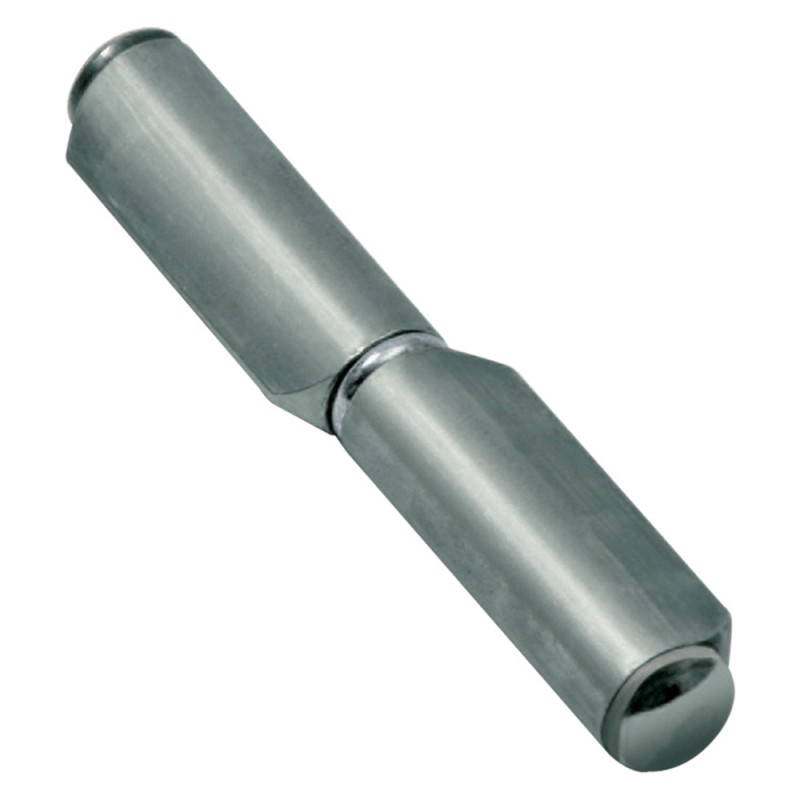 cerniera-con-costa-futura-art570-mm-100-o-9-portata-150-kg