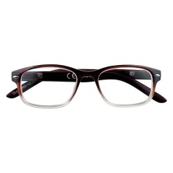 occhiali-per-lettura-b1-bro-350