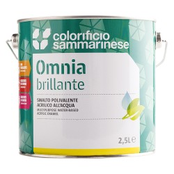 smalto-all-acqua-omnia-lt-0750-grigio-finestra-brillante