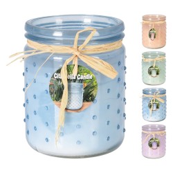 candela-alla-citronella-cm-10-x-12