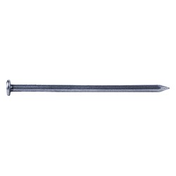 chiodi-testa-piana-mm-05x15-gr-50