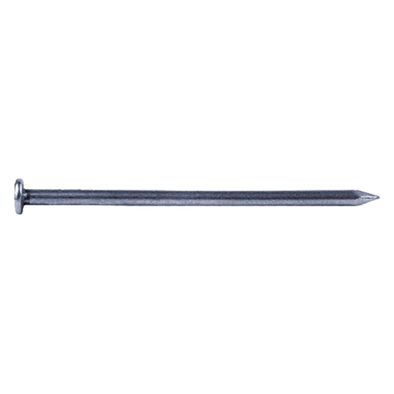 chiodi-testa-piana-mm-05x15-gr-50