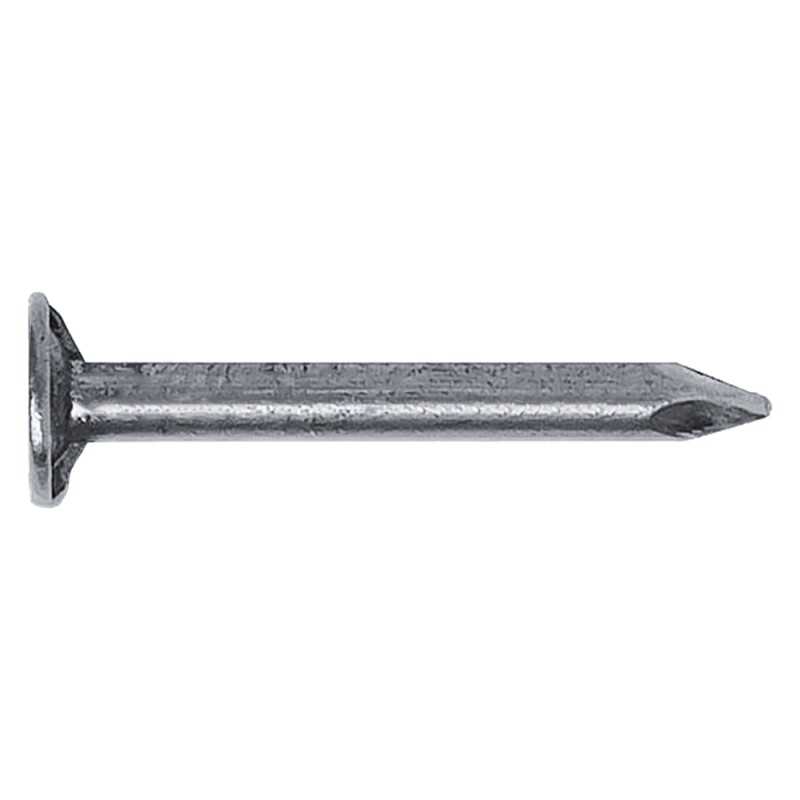chiodi-testa-piana-larga-tpl-mm-14-x-25-100-g