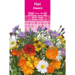 semi-per-prato-universale-zinnia-fior-di-dahlia