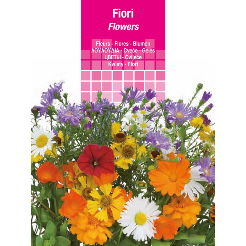 semi-per-prato-universale-zinnia-fior-di-dahlia