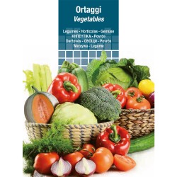 semi-per-ortaggi-e-vegetali-cicoria-rossa-di-verona-a-palla