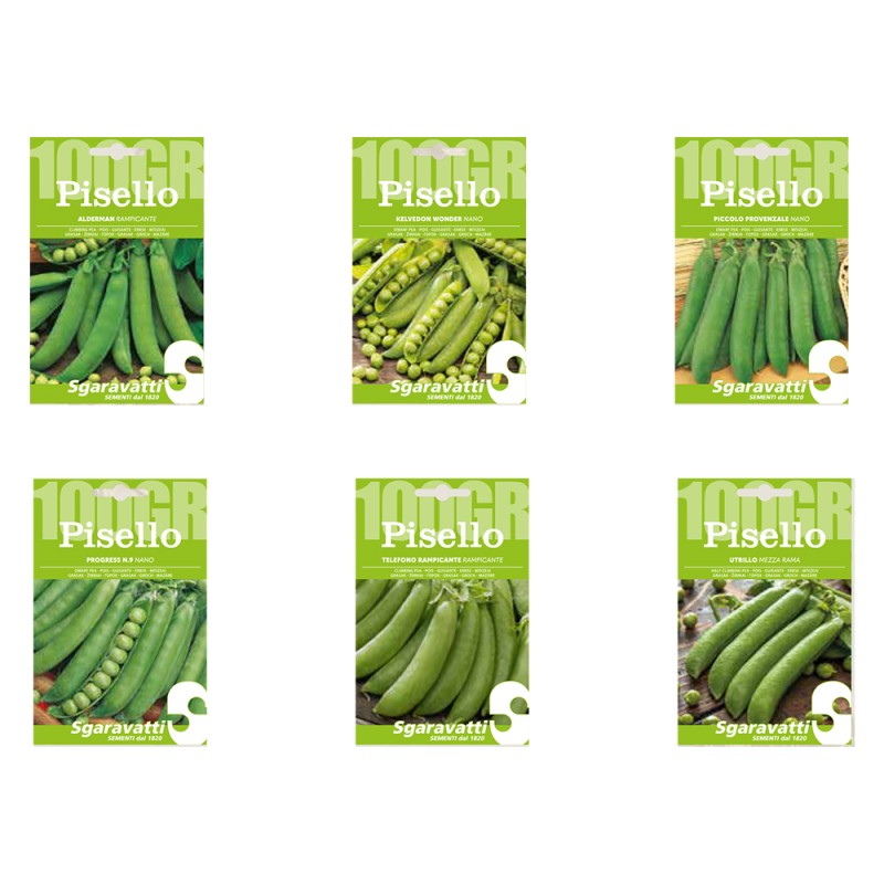 semi-per-fave-pisello-alderman-rampicante-gr-100