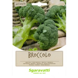 semi-per-fave-broccoletto-sessantino-riccio-s-marzano-gr-100