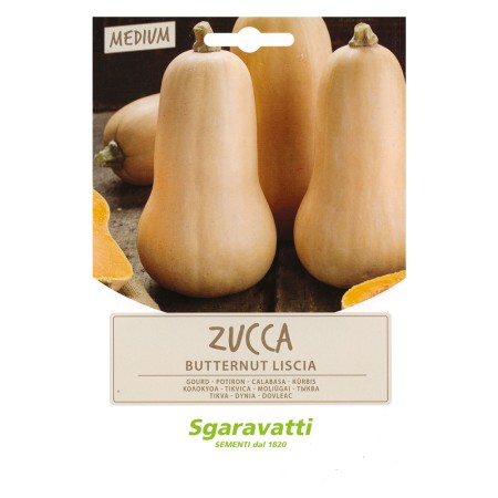 semi-per-ortaggi-e-vegetali-zucca-butternut-liscia