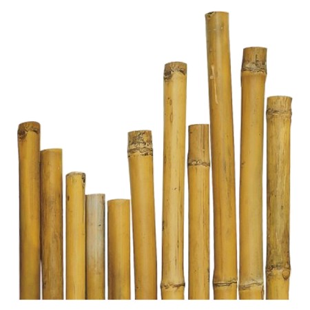 canna-bambu-o-28-30-mm-circa-h-mt-21