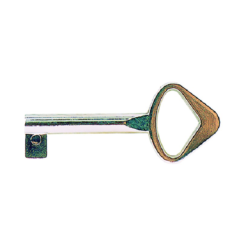 chiave-art-79-non-cifrata
