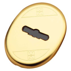 mostrina-interna-art95324-finitura-ottonata