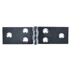 cerniera-ali-lunghe-art122-mm-34-x-180-pz-2