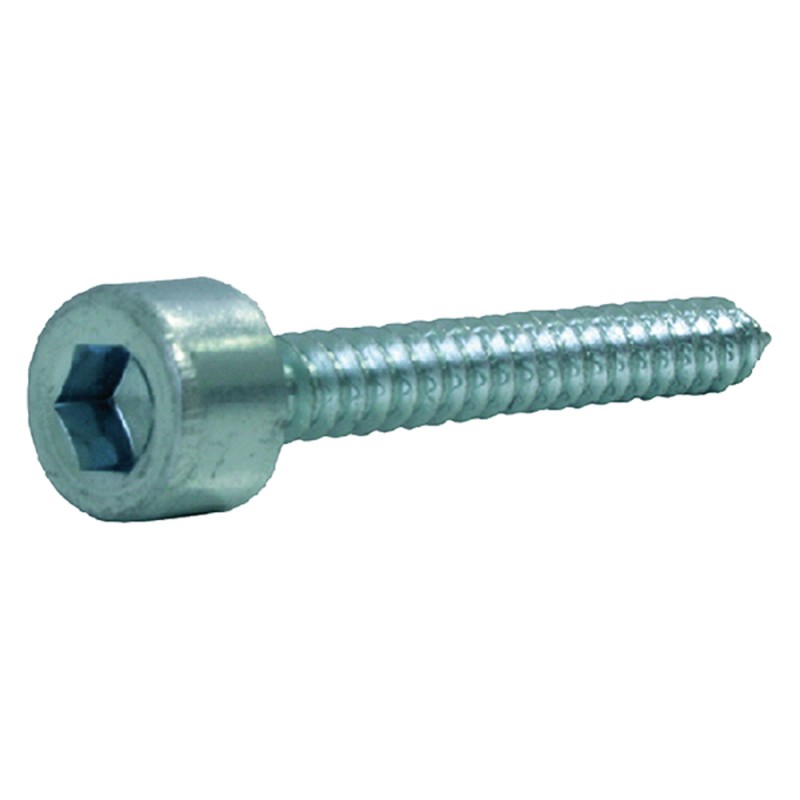 vite-autofilettante-tcei-tcei-mm-48-x-25